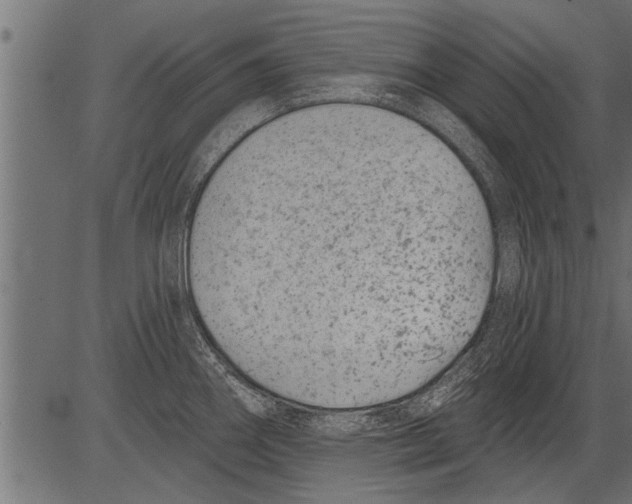 X0000081361290200702020131