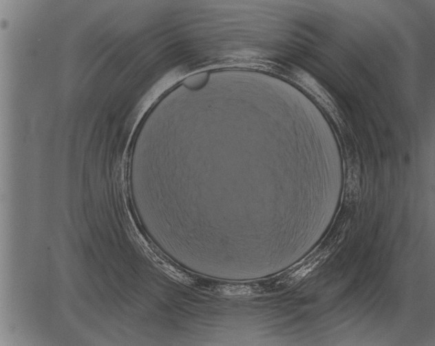 X0000081361291200702020131