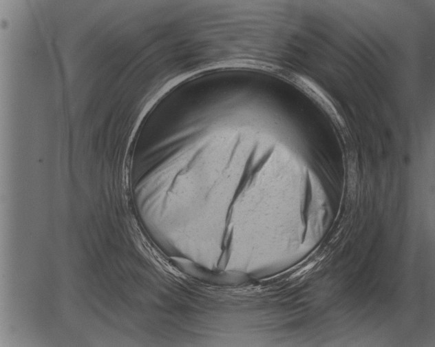 X0000081361292200702020131