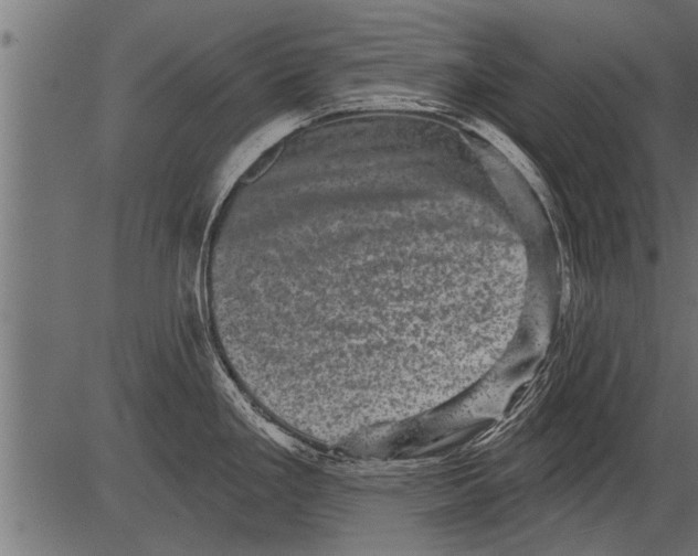 X0000081361293200702020131