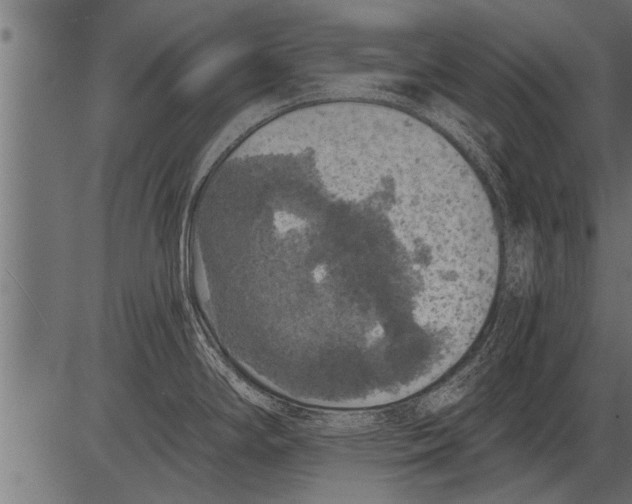 X0000081361294200702020131