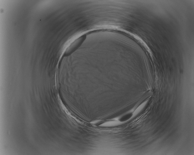 X0000081361295200702020130