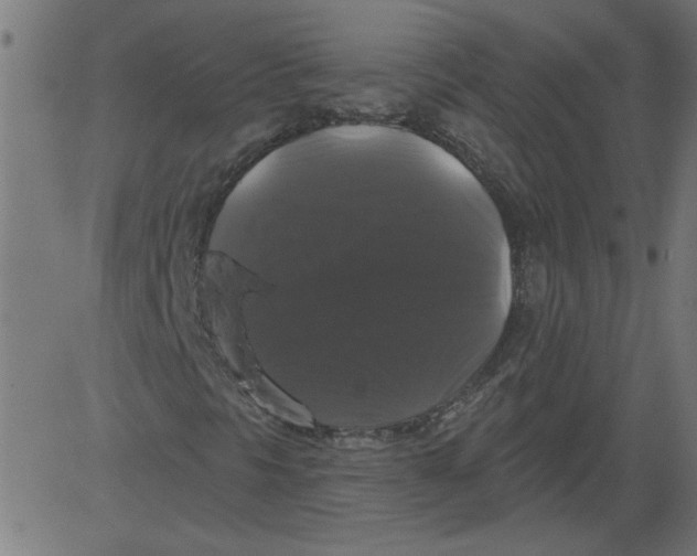 X0000081361297200702020130