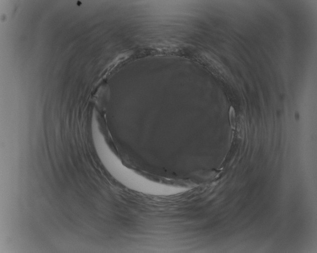 X0000081361298200702020130