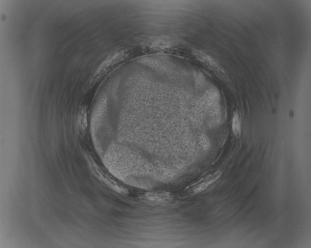 X0000081361299200702020130