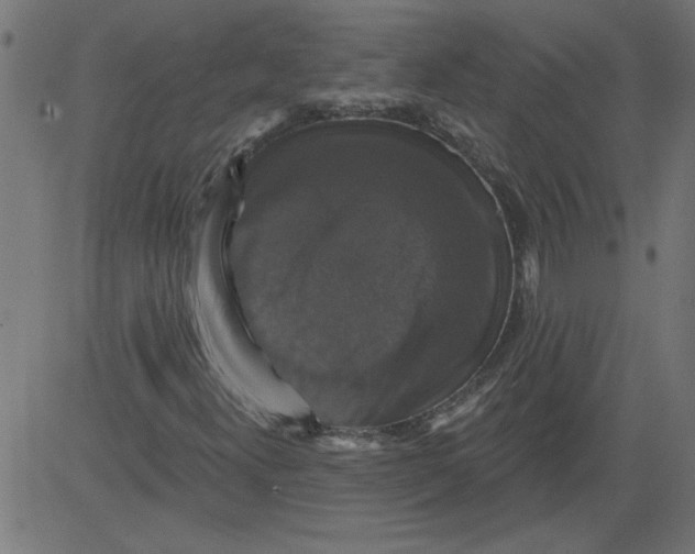 X0000081361300200702020130