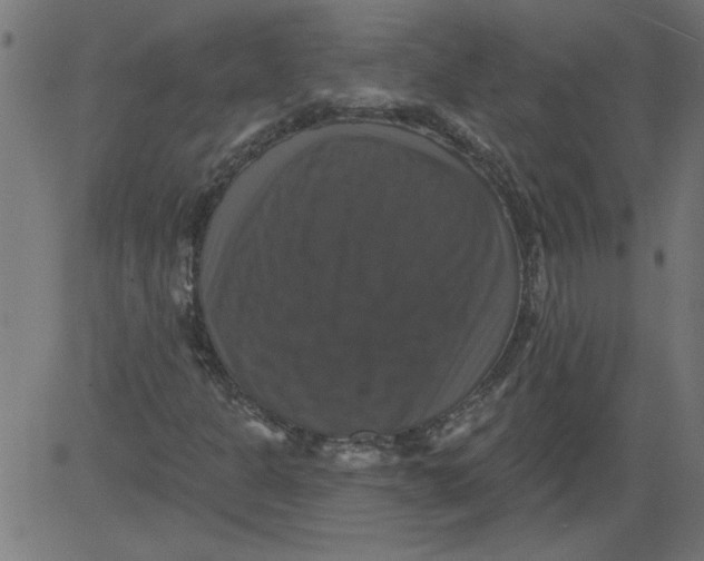 X0000081361301200702020130