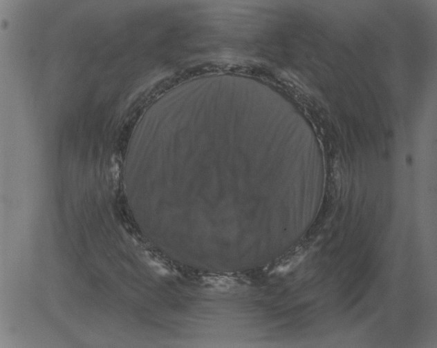 X0000081361302200702020130