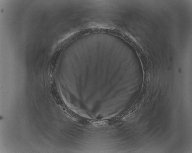 X0000081361303200702020130