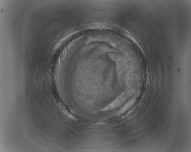 X0000081361304200702020130