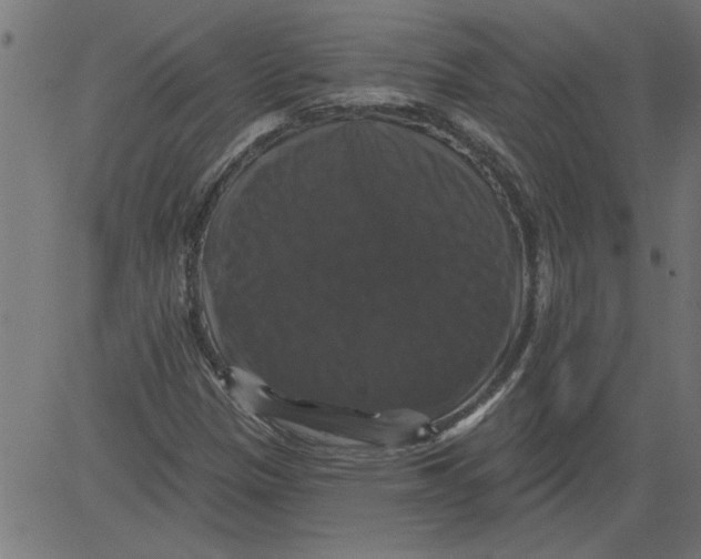 X0000081361305200702020130