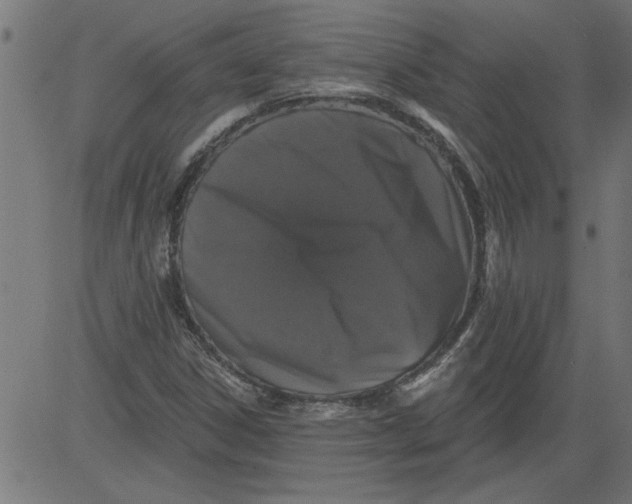 X0000081361306200702020130