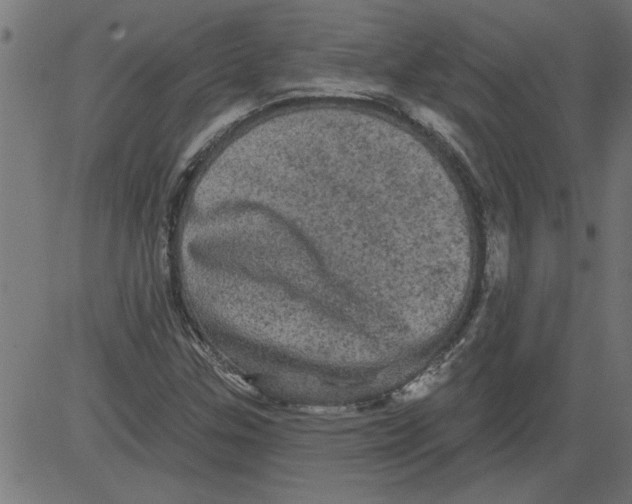 X0000081361307200702020130