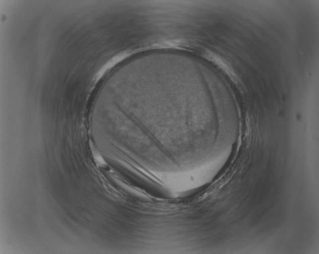 X0000081361308200702020130