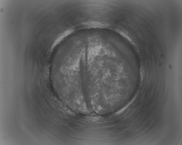 X0000081361309200702020130