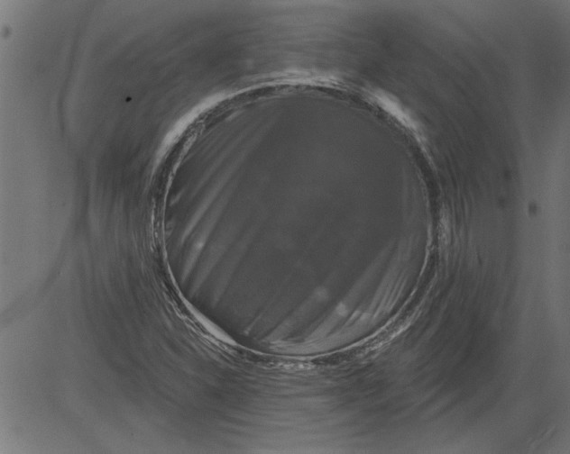 X0000081361310200702020130