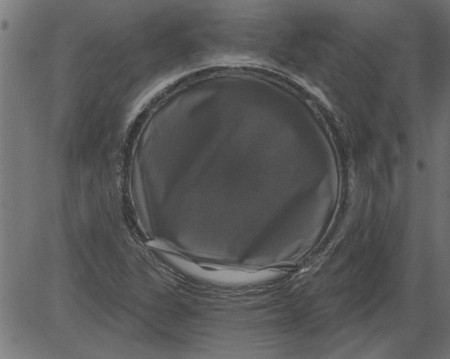 X0000081361311200702020130