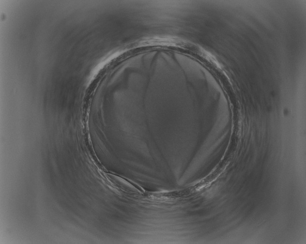 X0000081361312200702020130