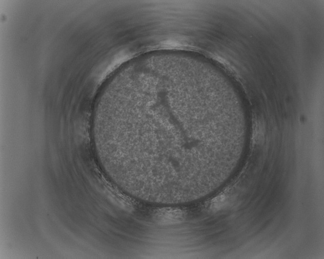 X0000081361314200702020130