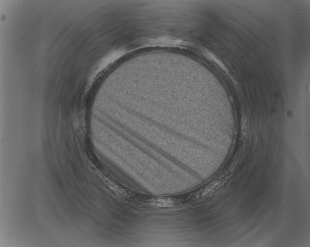 X0000081361315200702020130