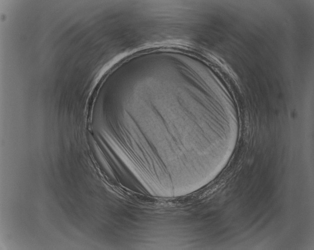 X0000081361316200702020130