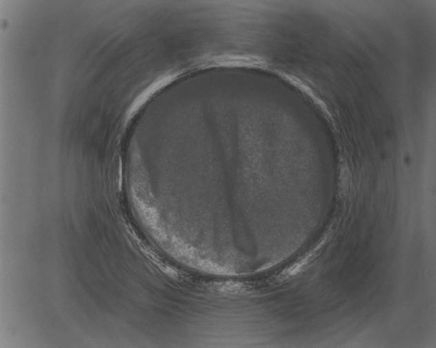 X0000081361317200702020130