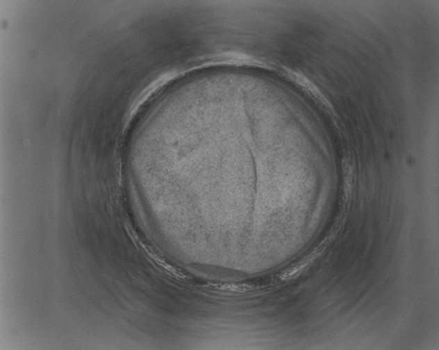 X0000081361318200702020130