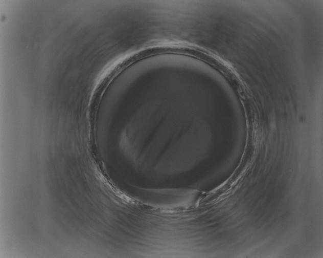 X0000081361319200702020130