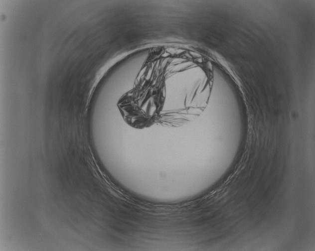 X0000081361320200702020130