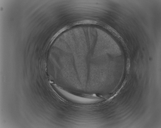 X0000081361321200702020130