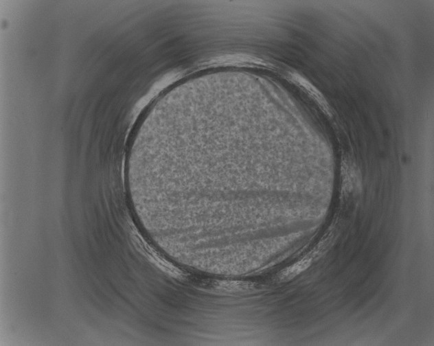 X0000081361322200702020130