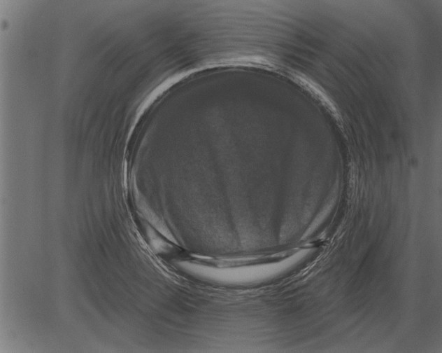 X0000081361324200702020130