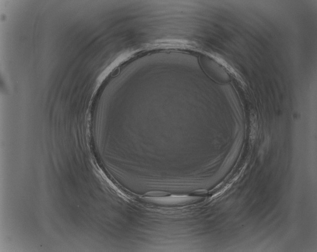 X0000081361325200702020130