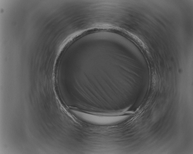 X0000081361327200702020130