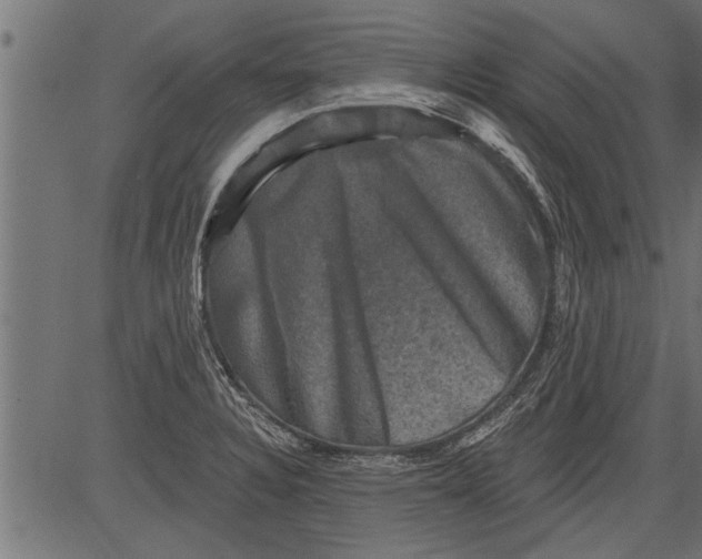 X0000081361328200702020130