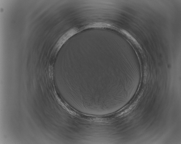 X0000081361329200702020130