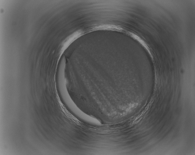 X0000081361330200702020130