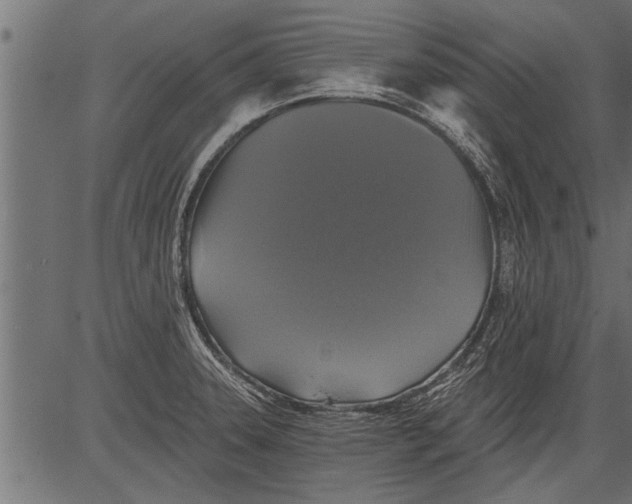 X0000081361331200702020130