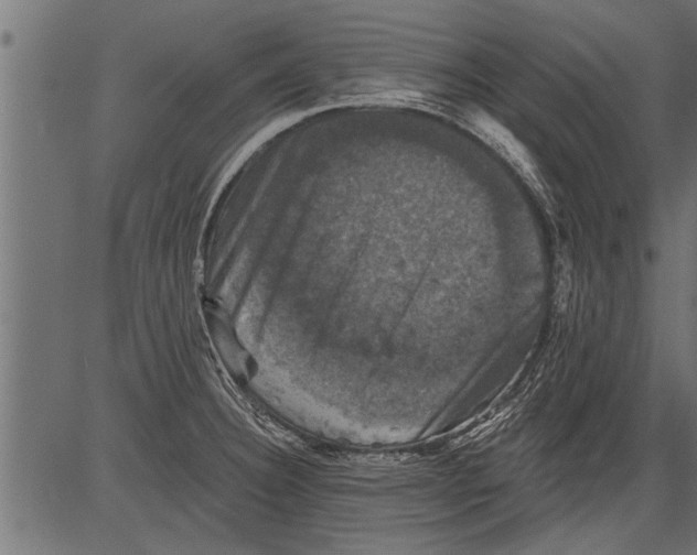 X0000081361332200702020130