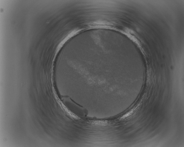 X0000081361333200702020130