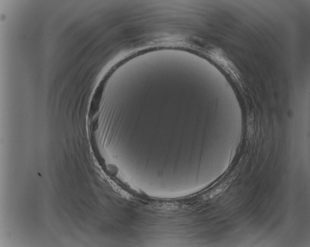 X0000081361334200702020130