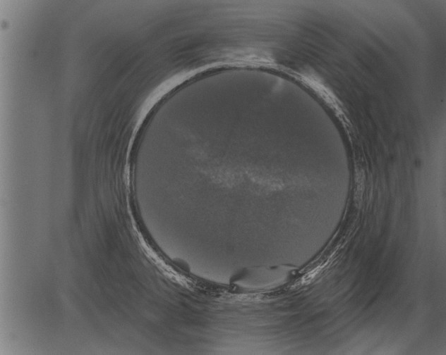 X0000081361335200702020130