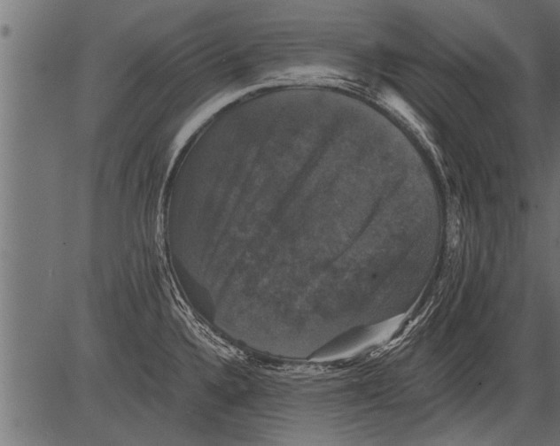 X0000081361336200702020130