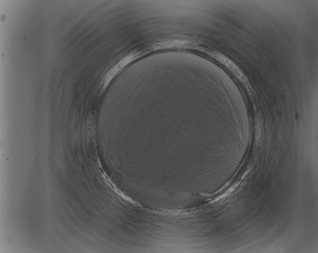 X0000081361337200702020130