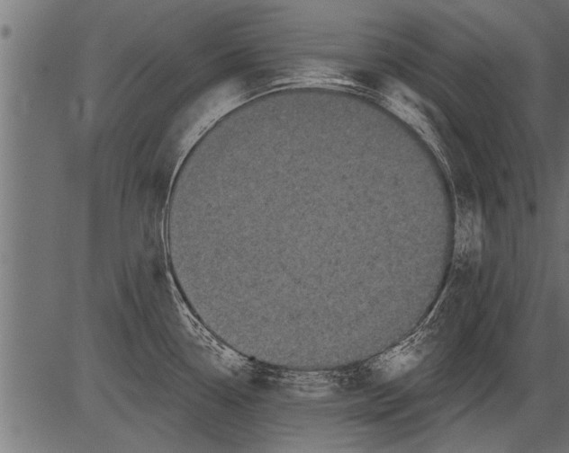 X0000081361338200702020130