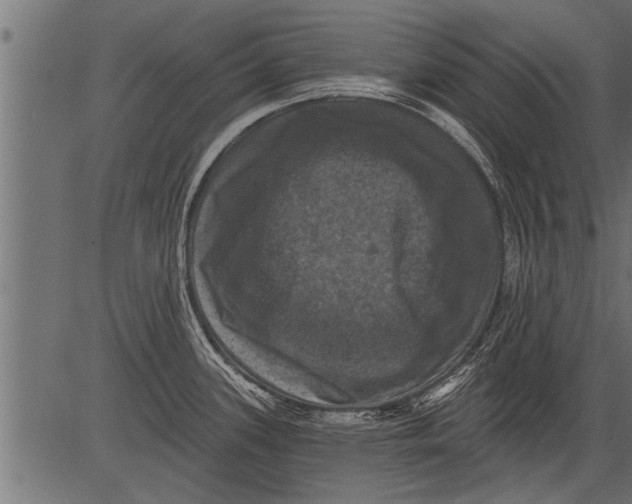 X0000081361339200702020130