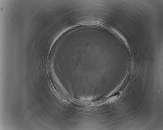 X0000081361340200702020130