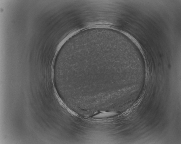 X0000081361341200702020130