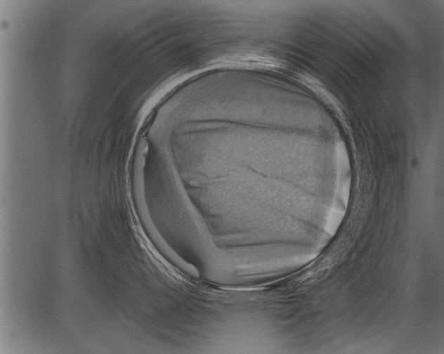 X0000081361344200702020130