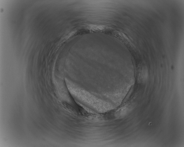 X0000081361345200702020130